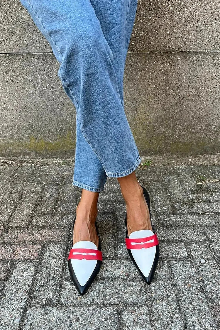 Lyrienne | Two-Tone Pointed Slippers